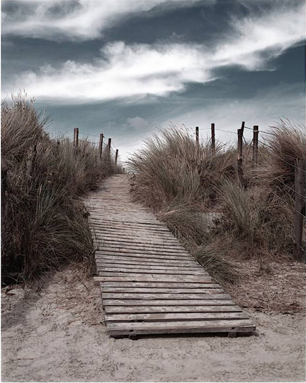 The Pathway